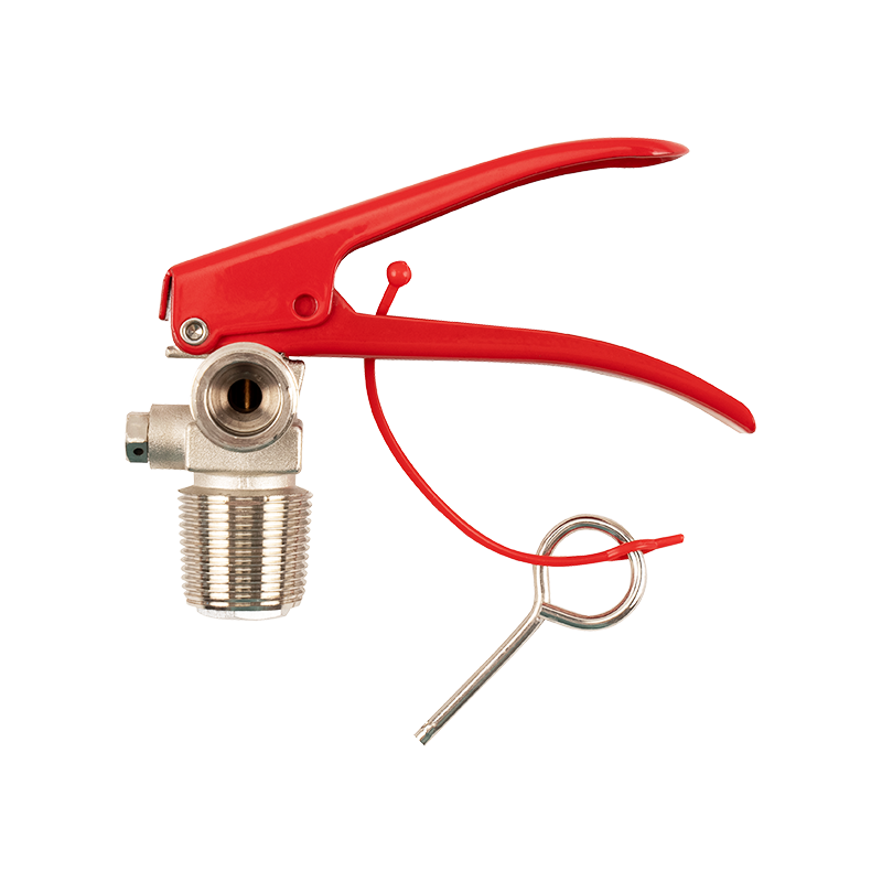 Fire extinguisher valve