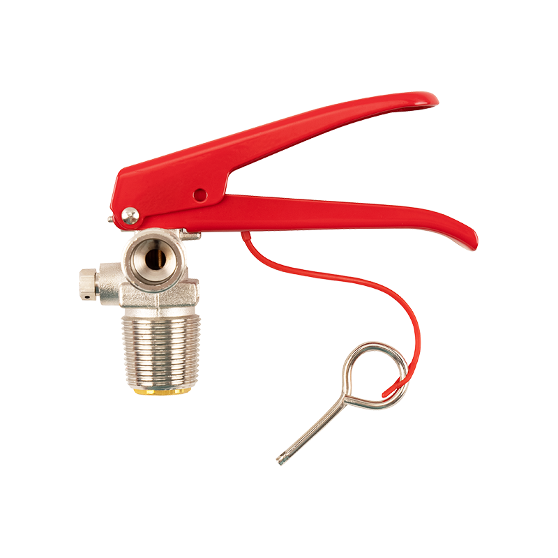 Fire extinguisher valve