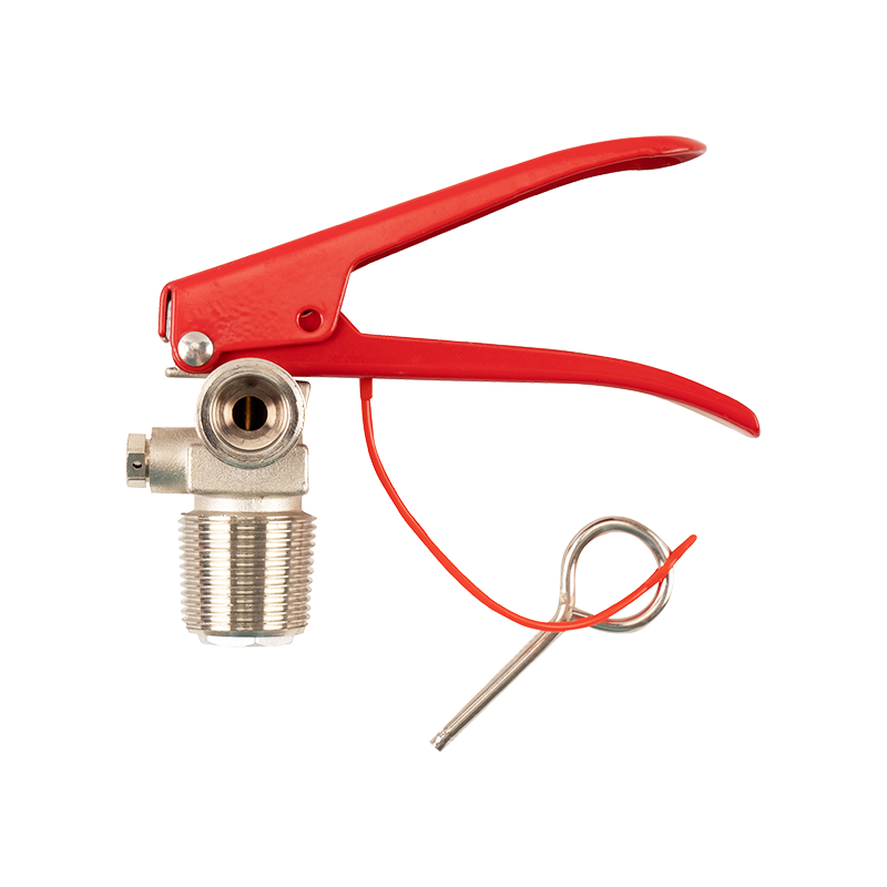 Fire extinguisher valve