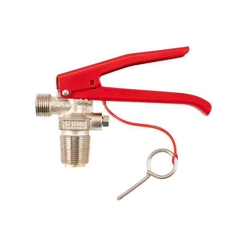 Fire extinguisher valve