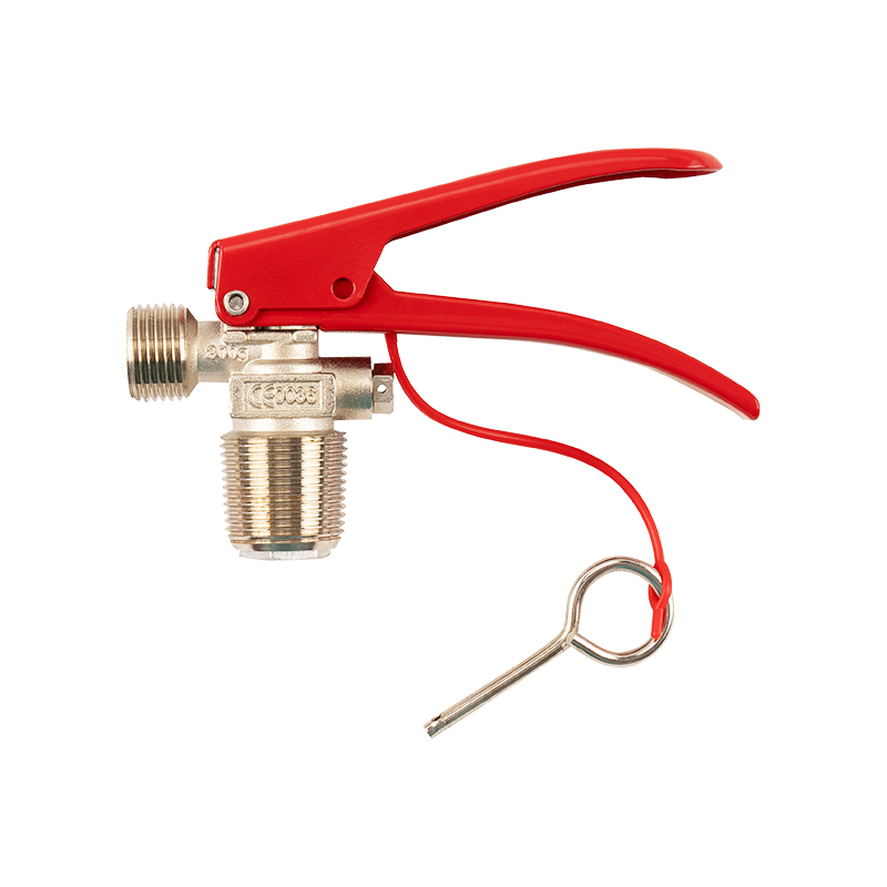 Fire extinguisher valve