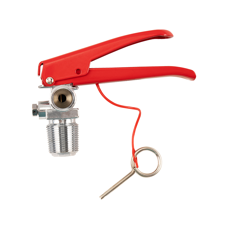 Fire extinguisher valve