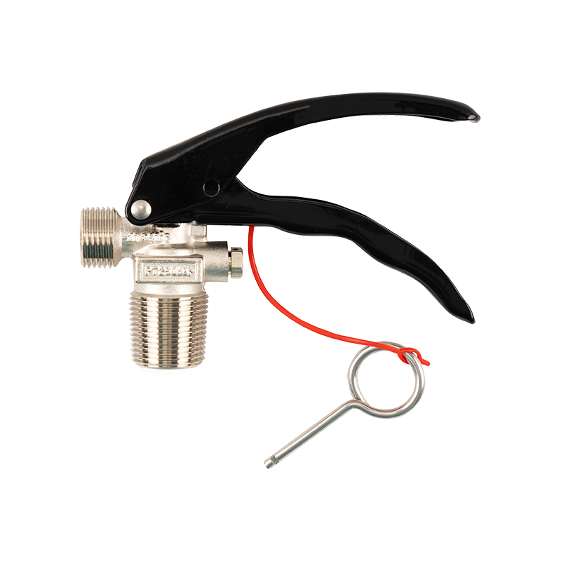 Fire extinguisher valve