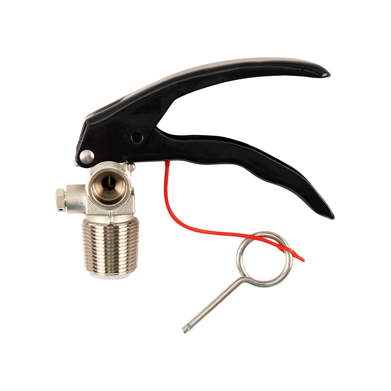 Fire extinguisher valve